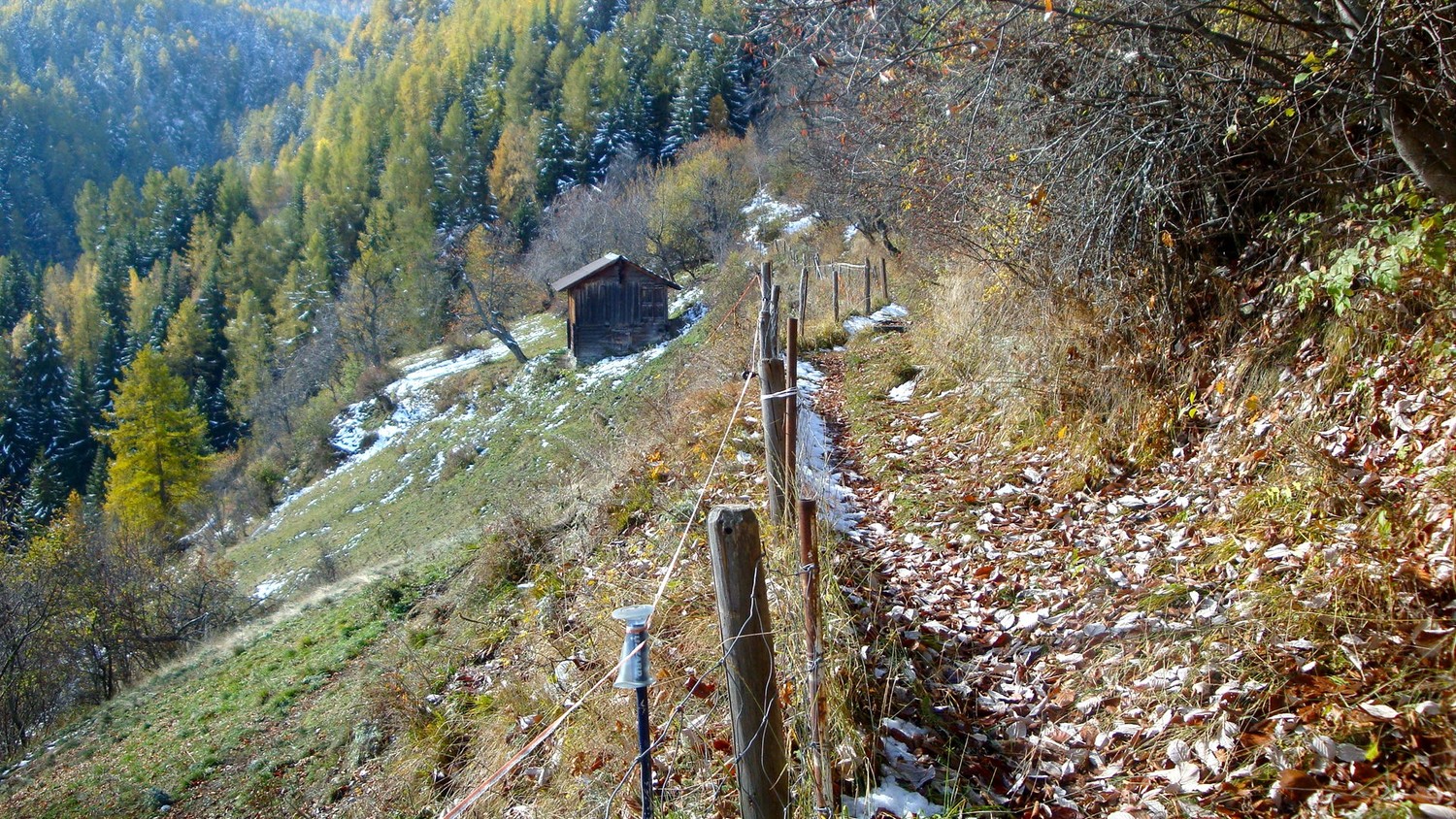 Muntersuon