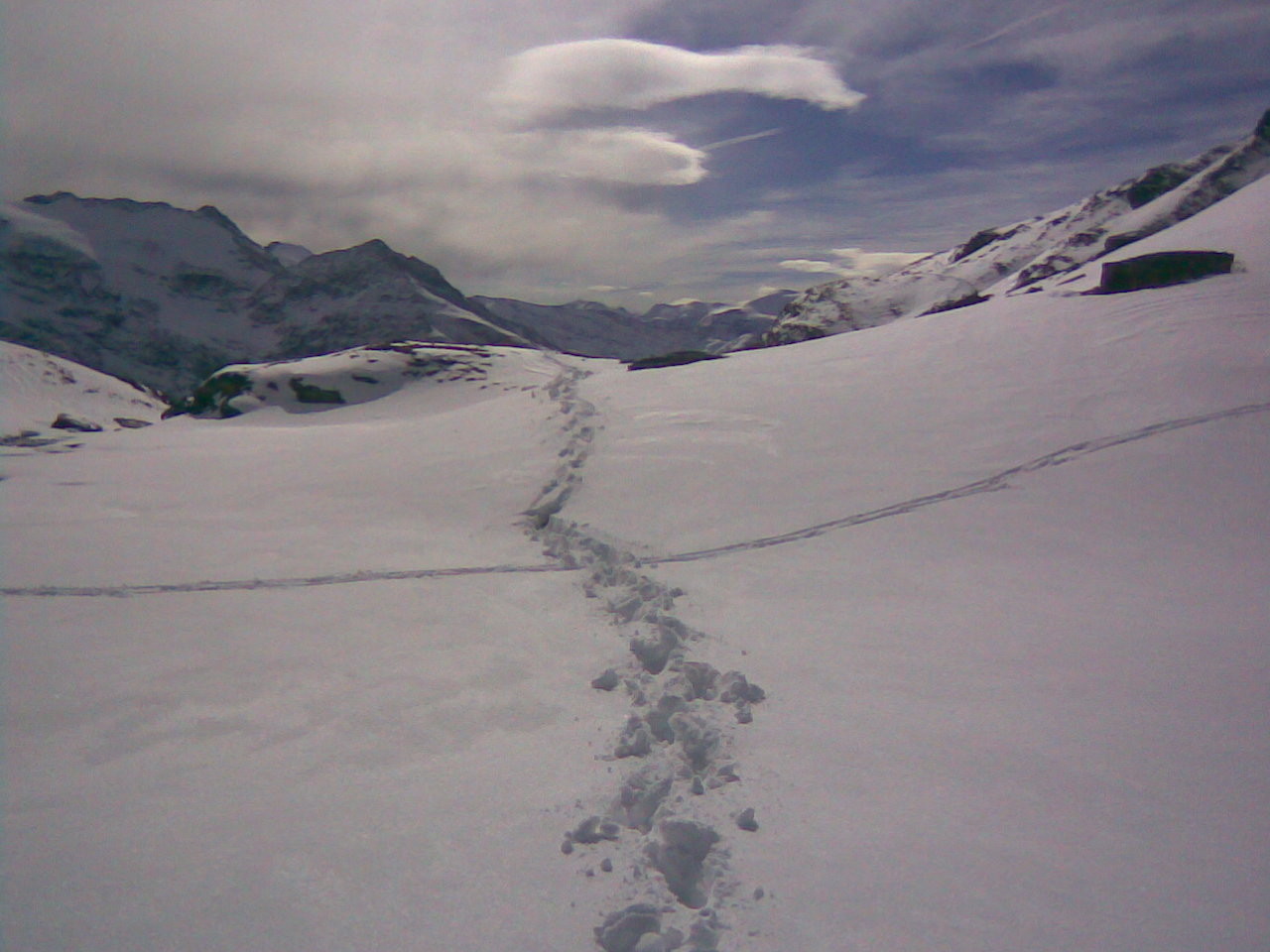 Traces humaines, traces animales