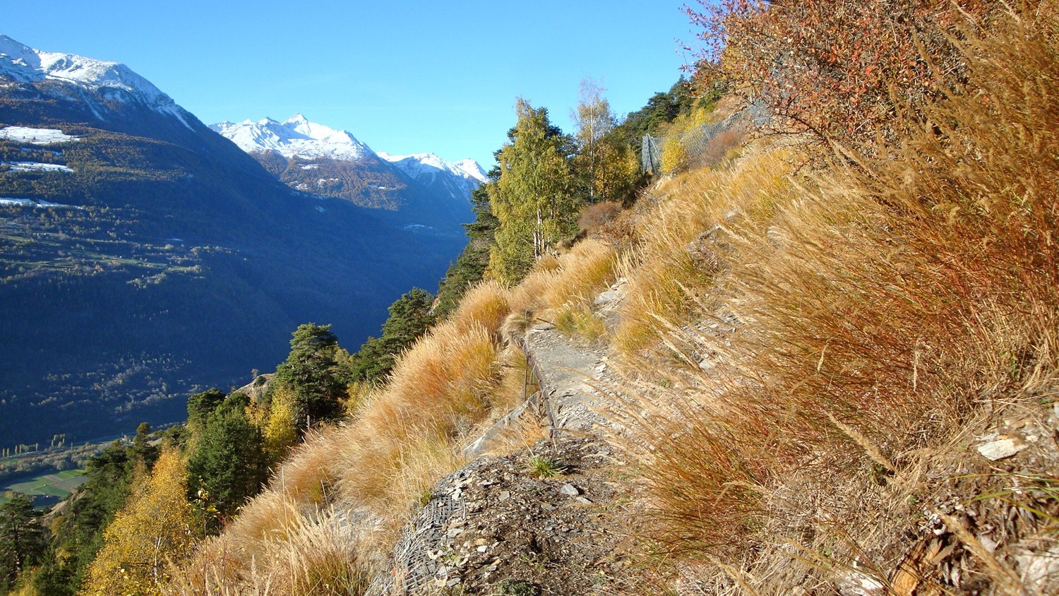 Bisse de Bargeri