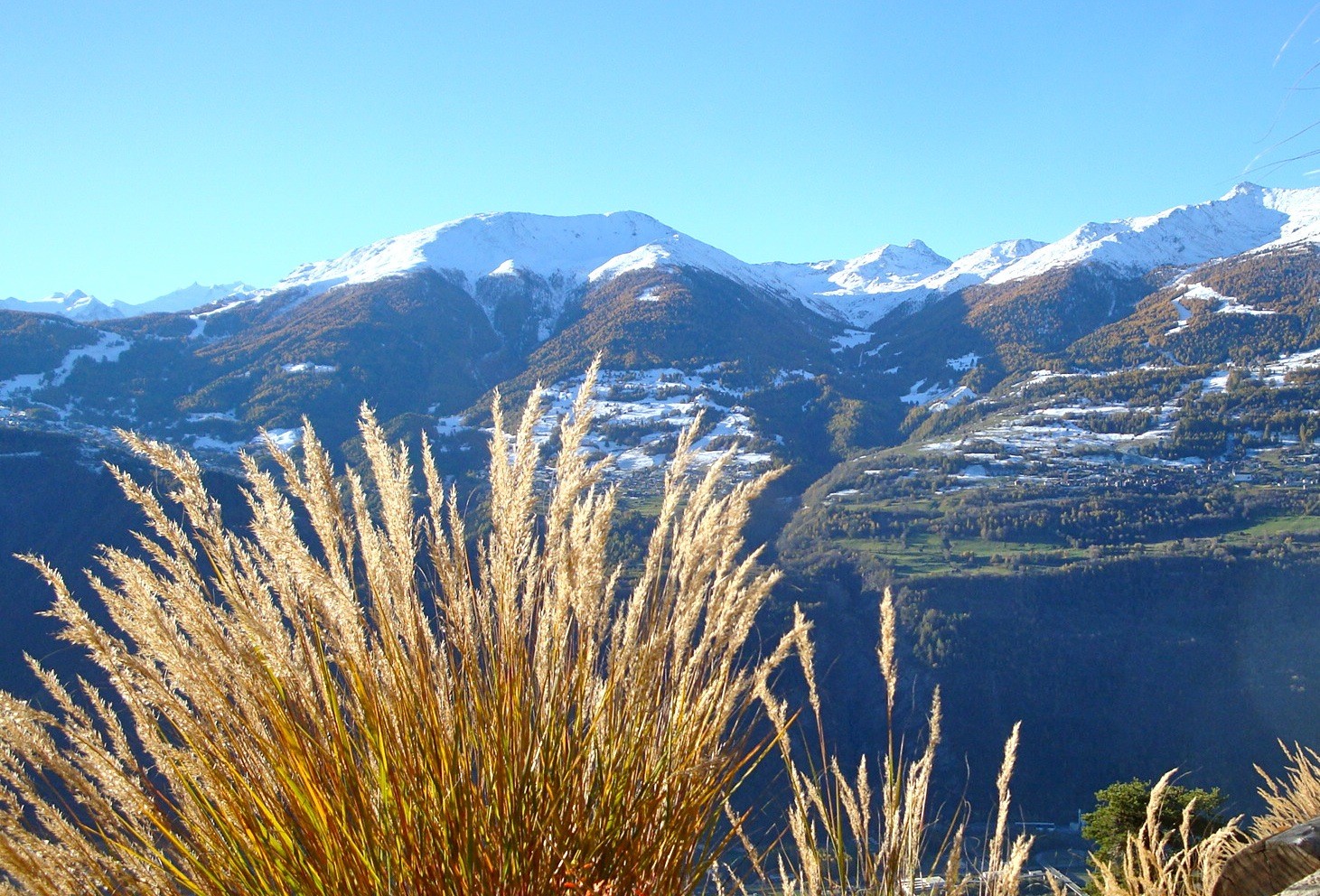 Vue sur Augstbord-Région