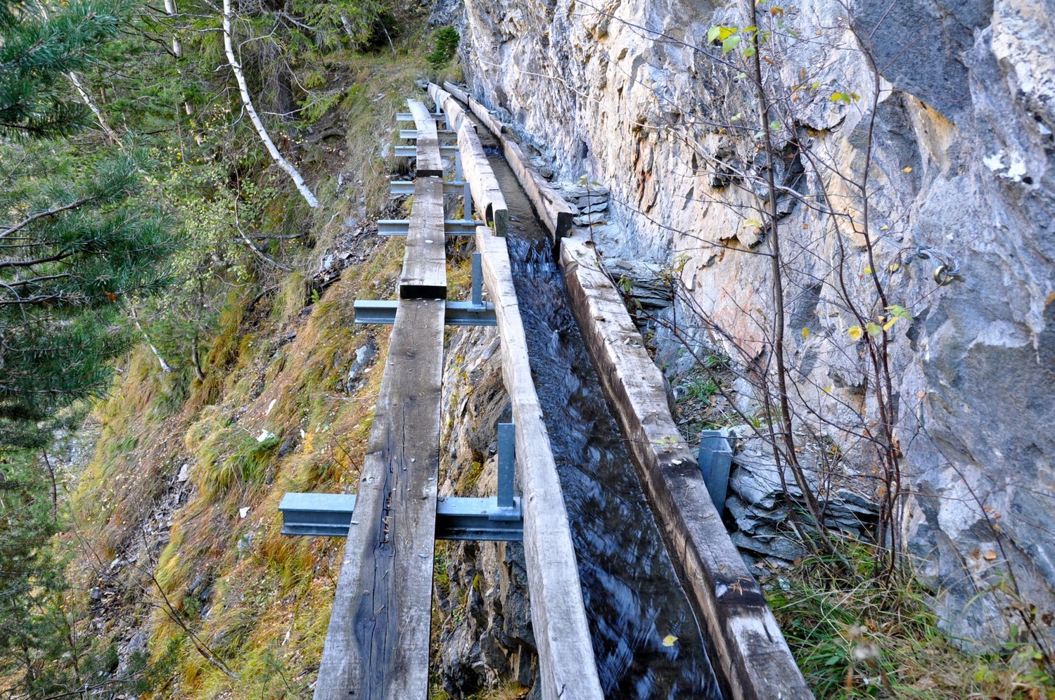 Bisse de Bargeri