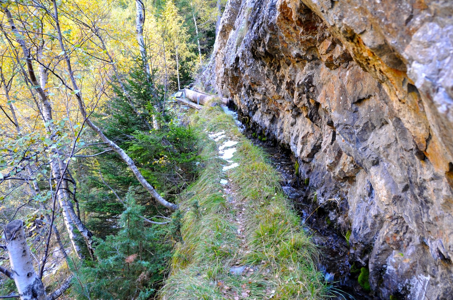 Bisse de Bargeri