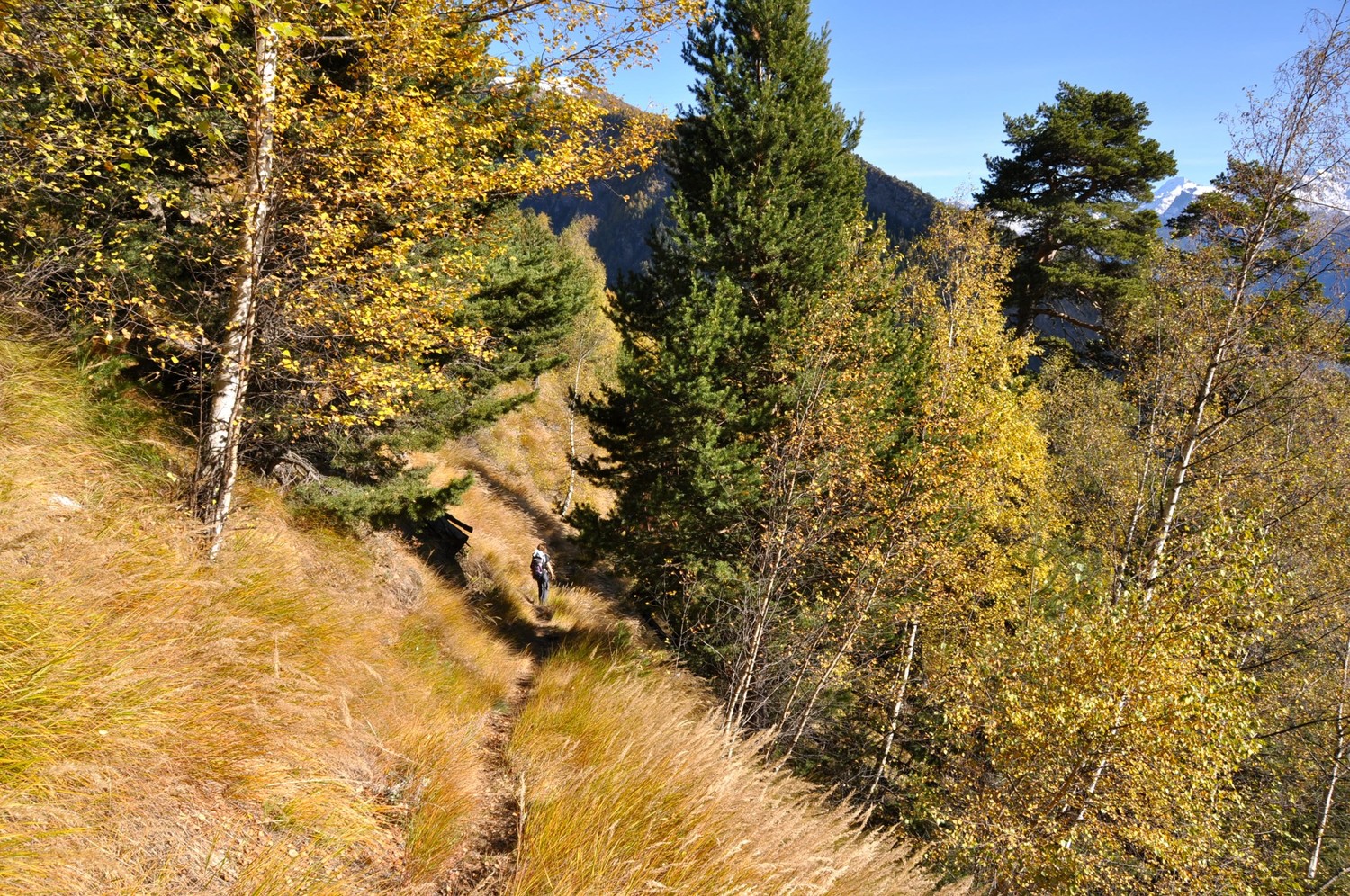 Sentier de descente