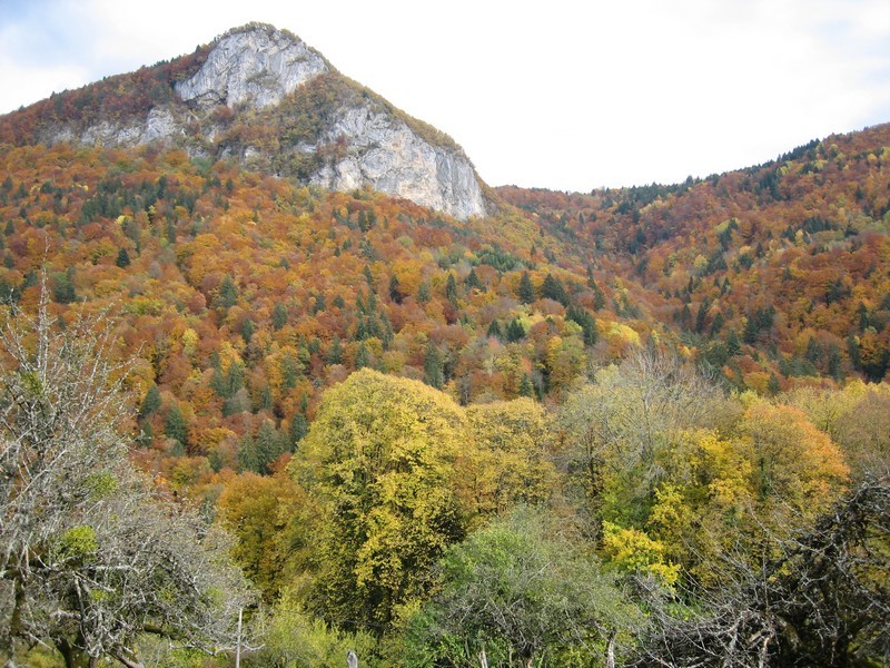 Couleurs chatoyantes