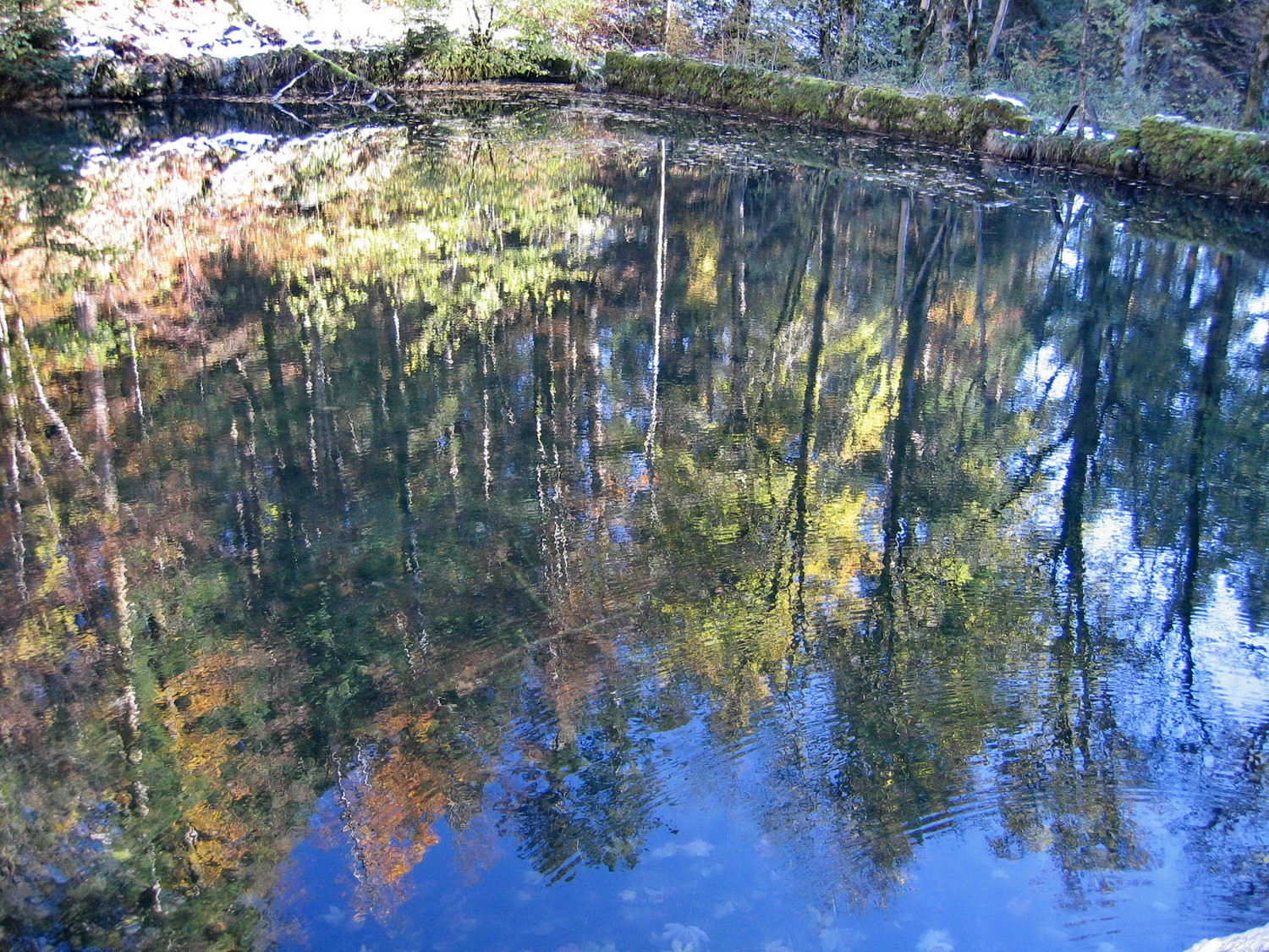 reflets d'automne