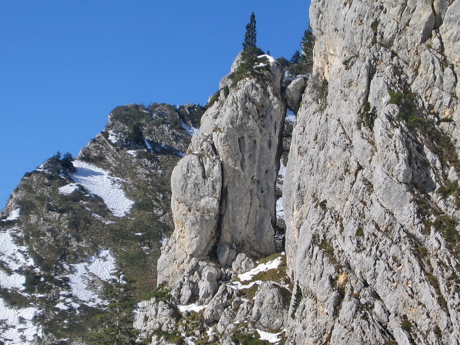 une écaille des rochers de Léchaud