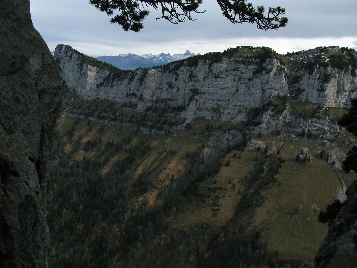 une autre dent