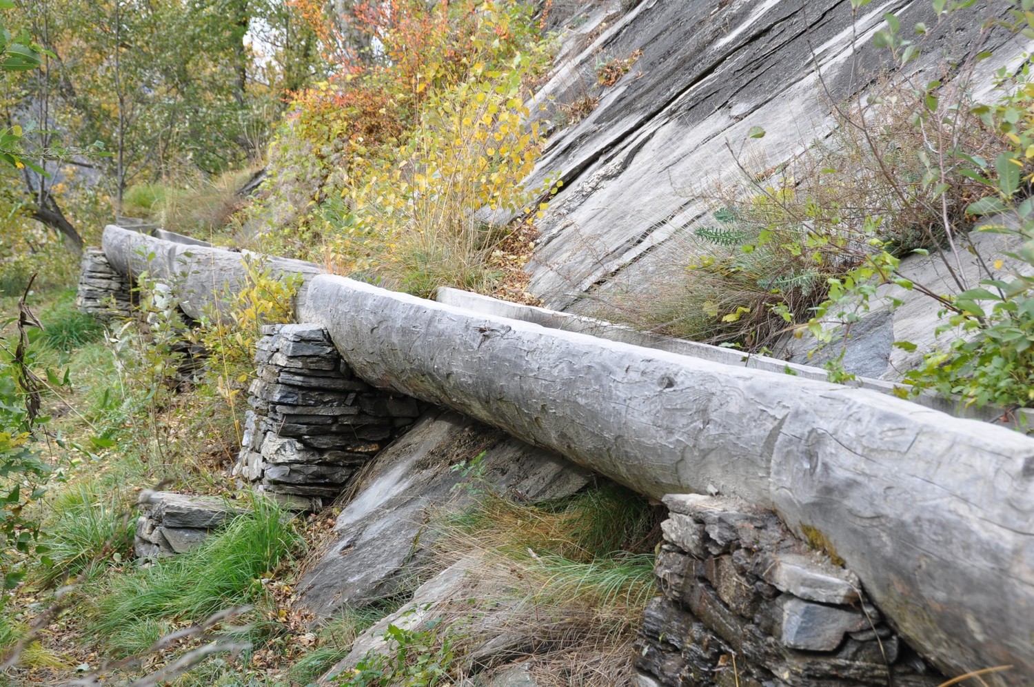 Niwa Bietschtal