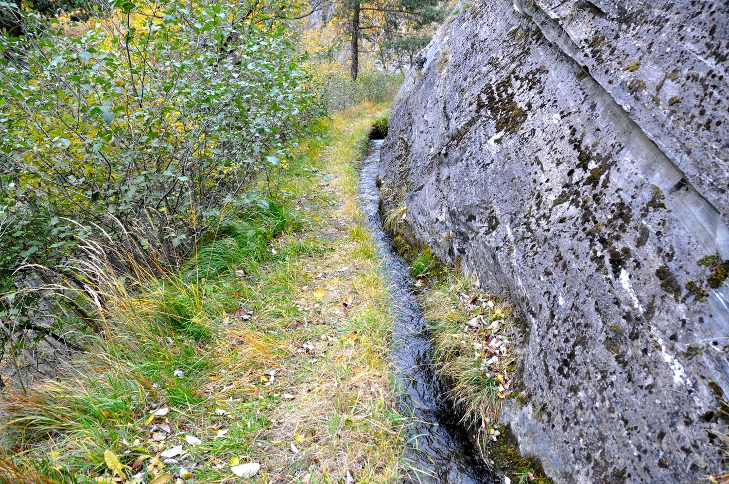 Niwa Bietschtal
