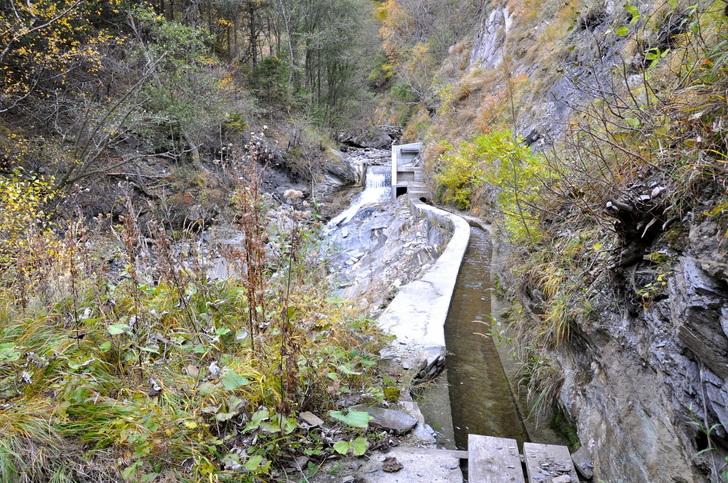 Niwa Bietschtal: prise