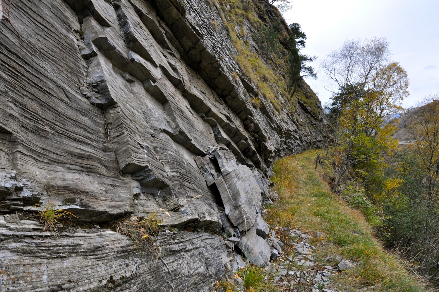 Niwa Bietschtal: millefeuille ?
