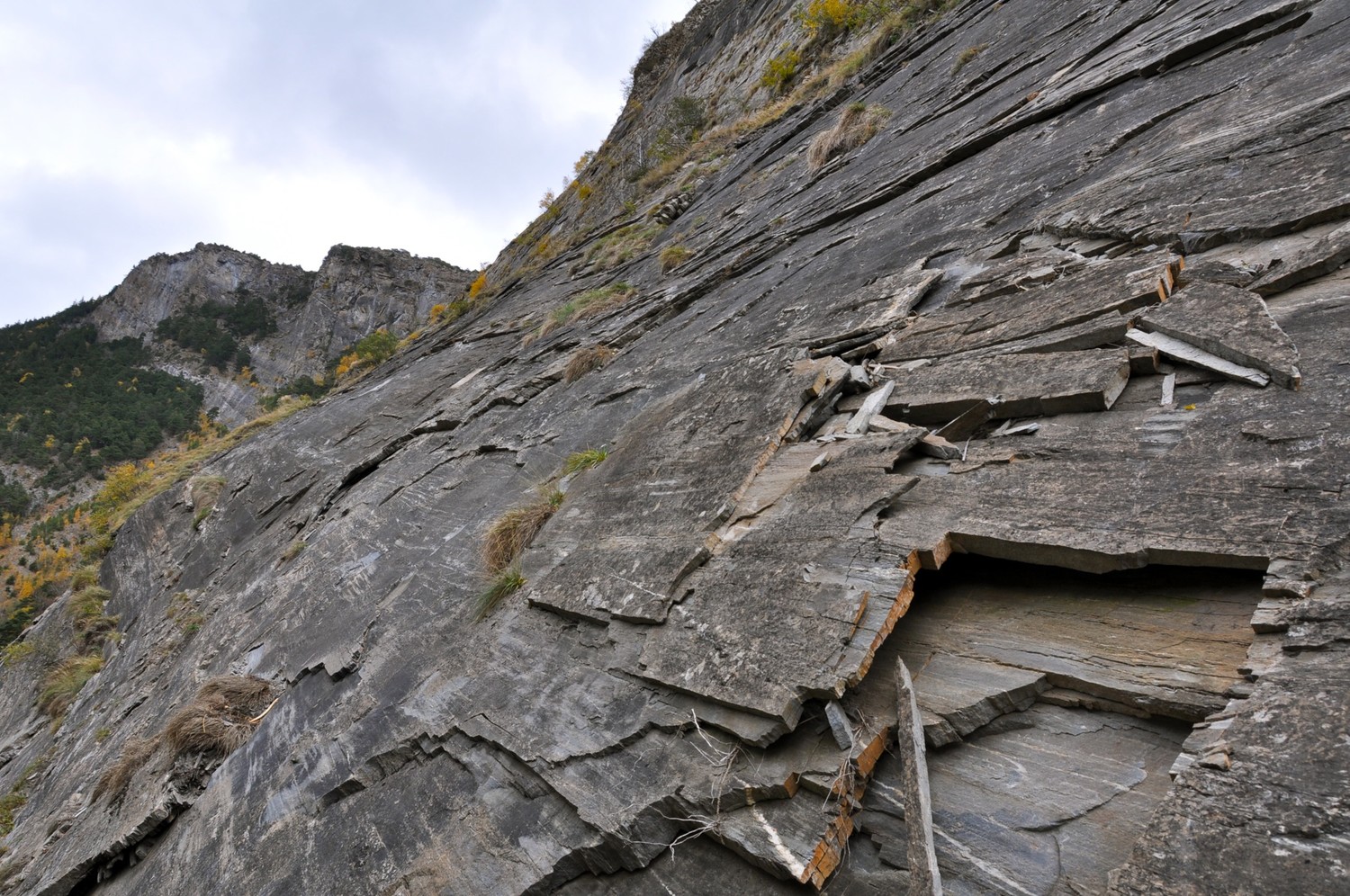 Niwa Bietschtal: millefeuille ?