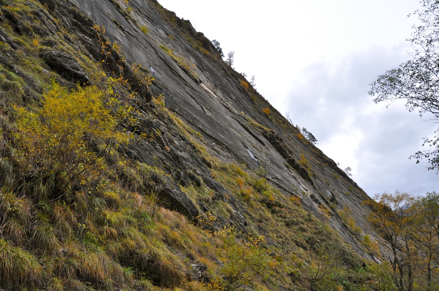 Paroi de millefeuilles