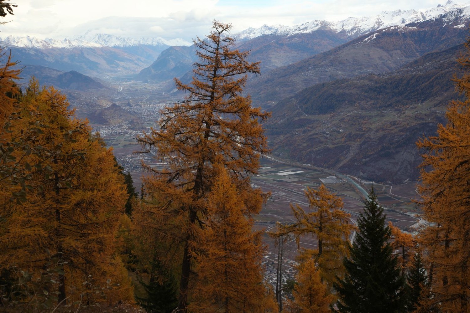 Vue sur la vallée du Rhône