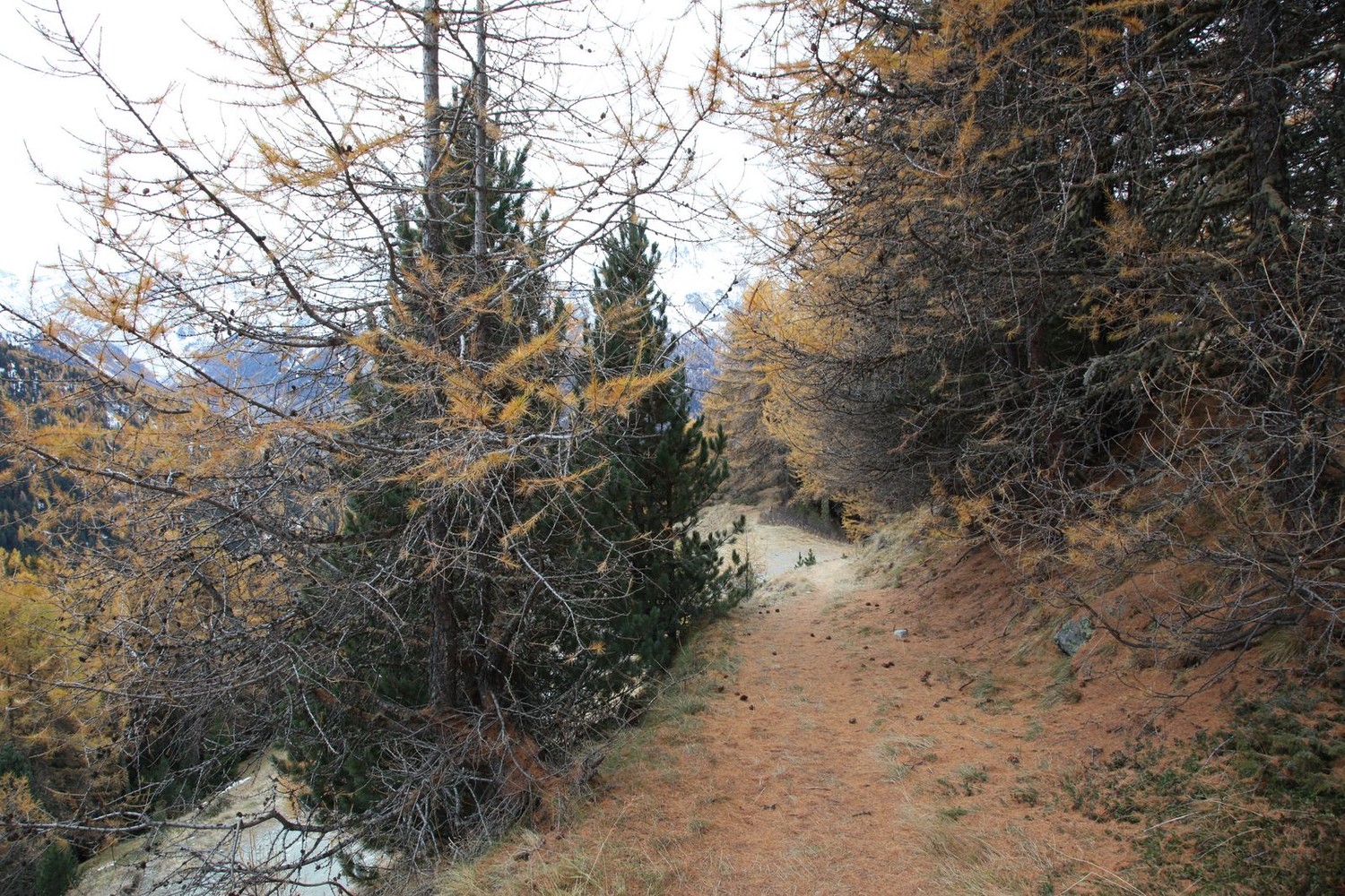 Descente