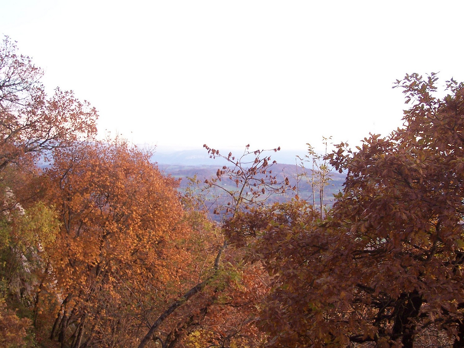 Couleurs de saison