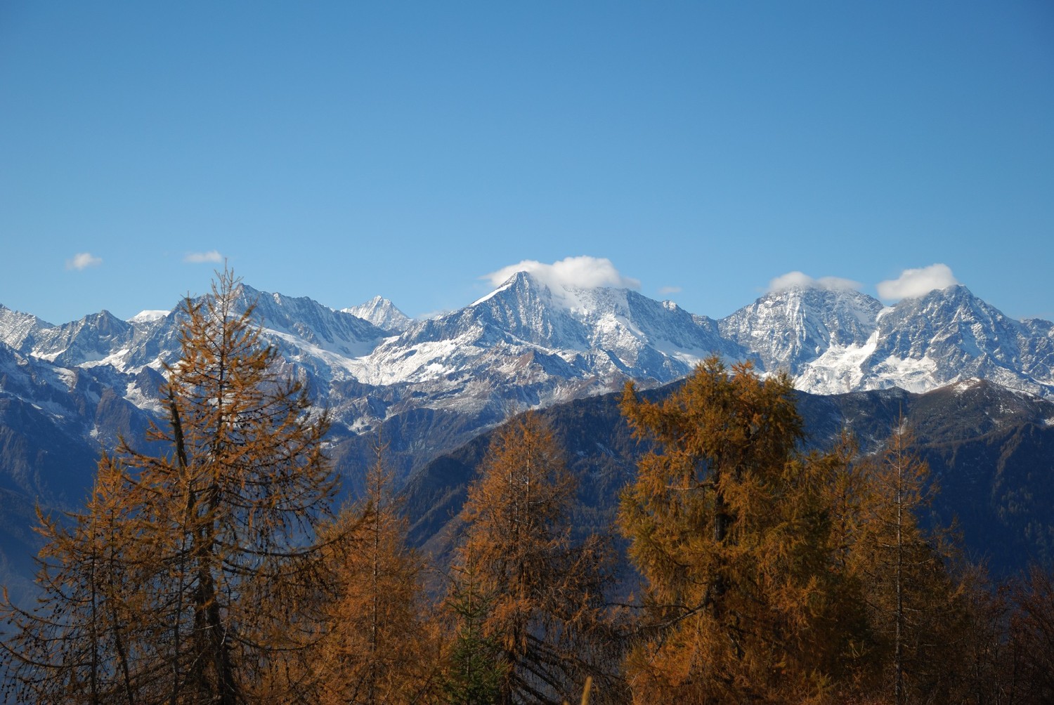Versant e du Mont Rose depuis La Sella (Ossola)