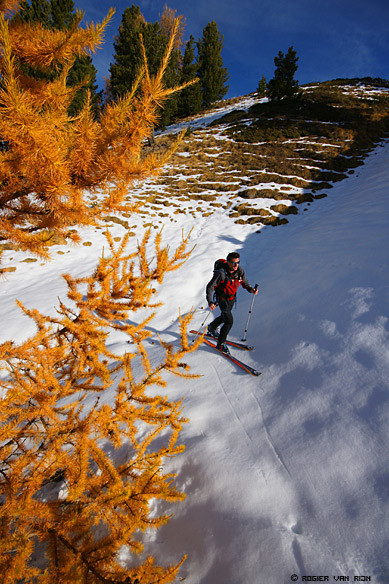 Montée des les mélézes - Photo Rogier Van Rijn