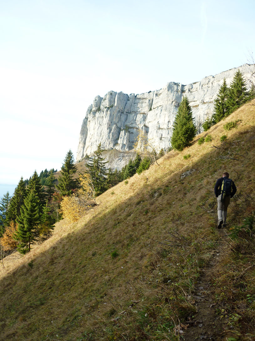 le chemin à bêtes est encore praticable