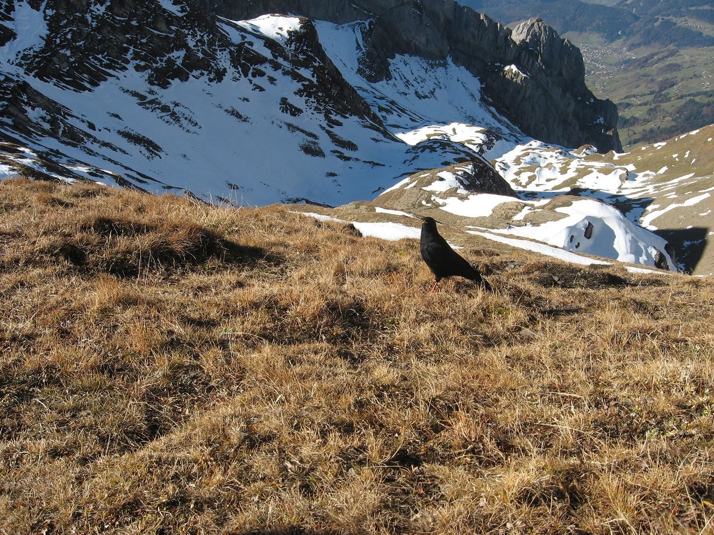 Un habitant