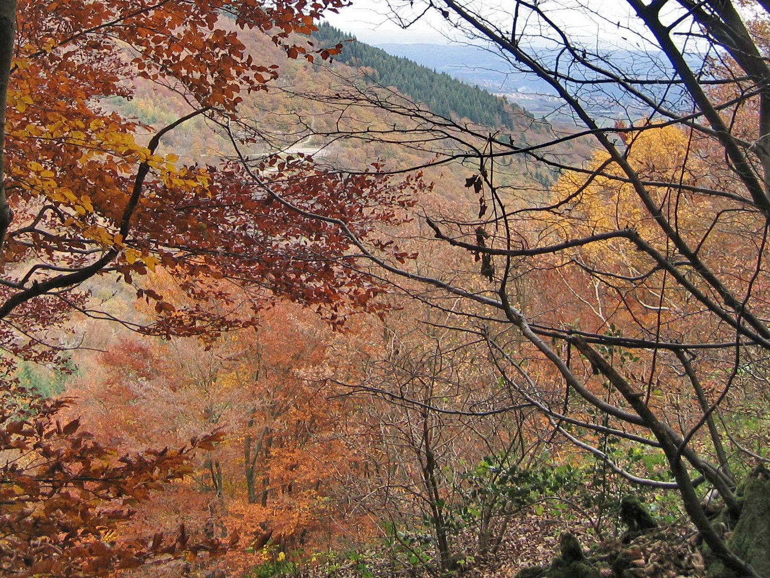 vers le col de Pavezin
