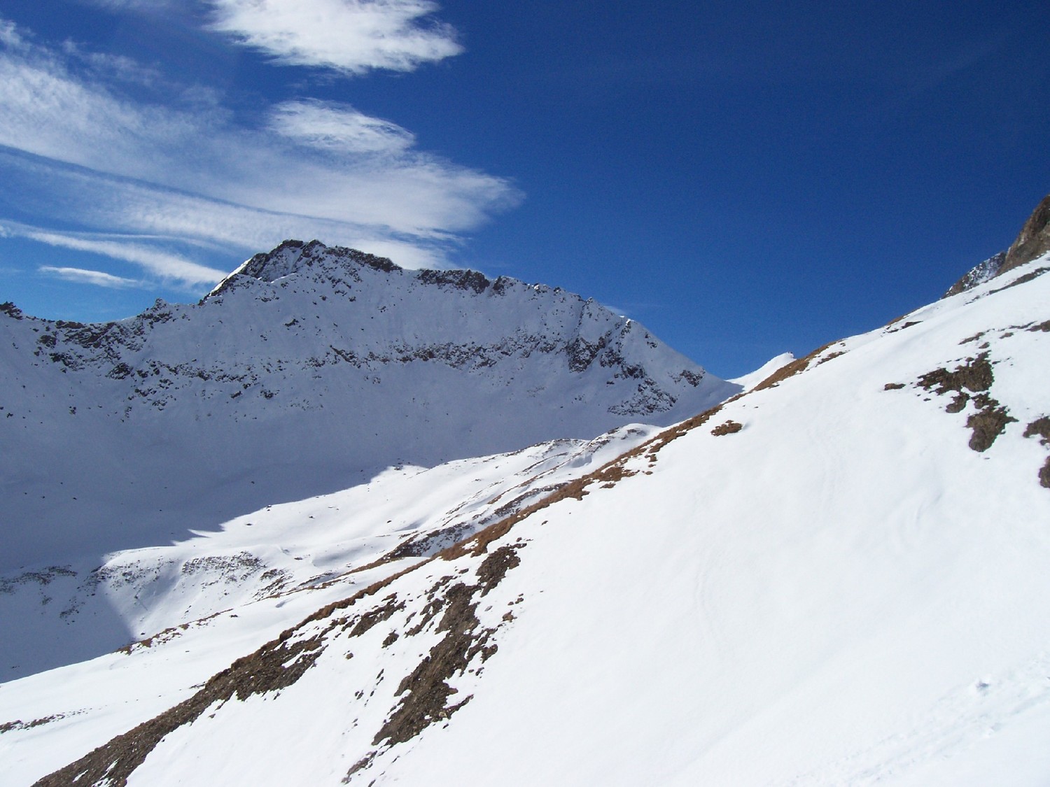 corno brunni