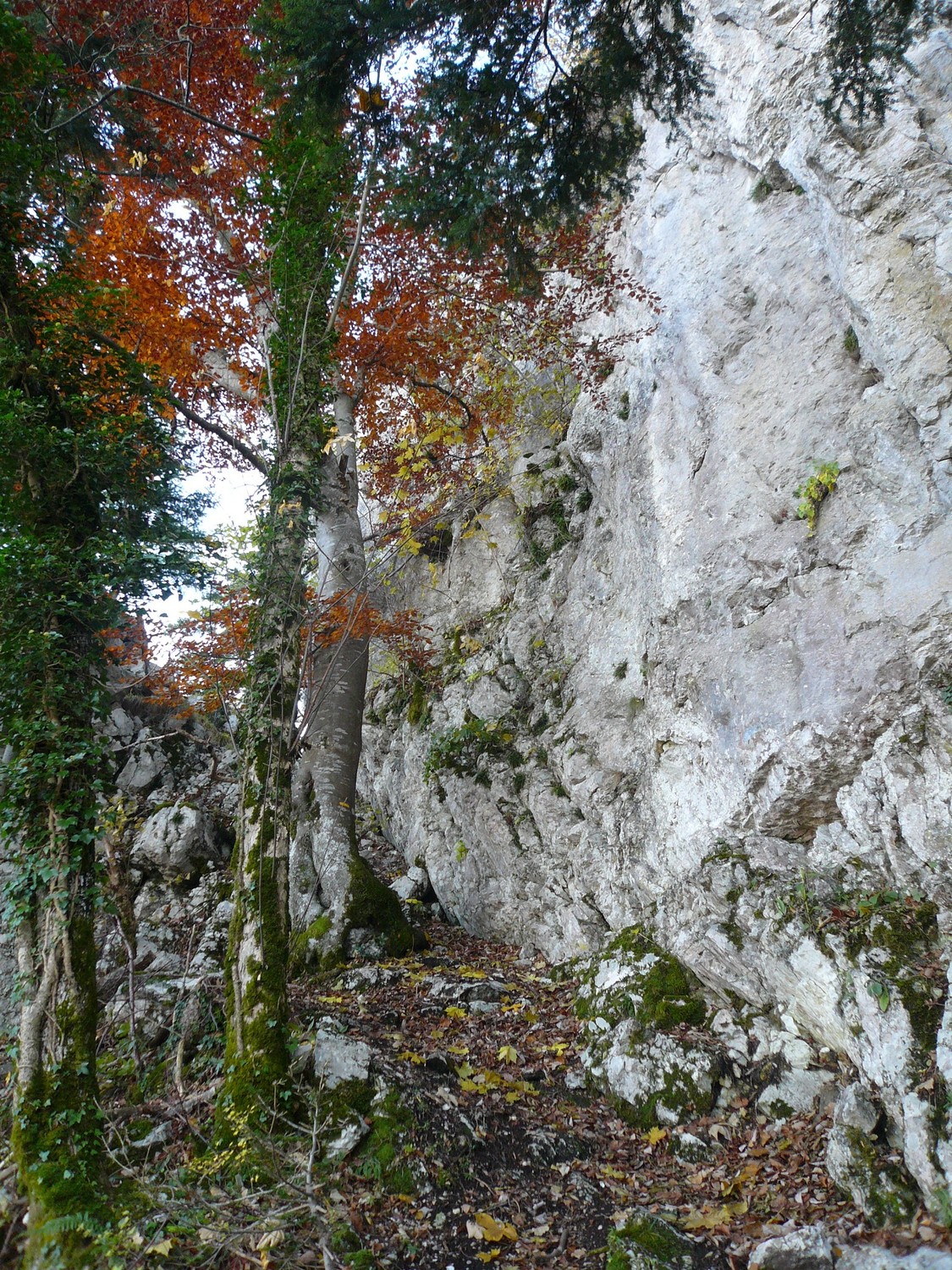 Pas de l'Aronde, premier passage dans les barres.