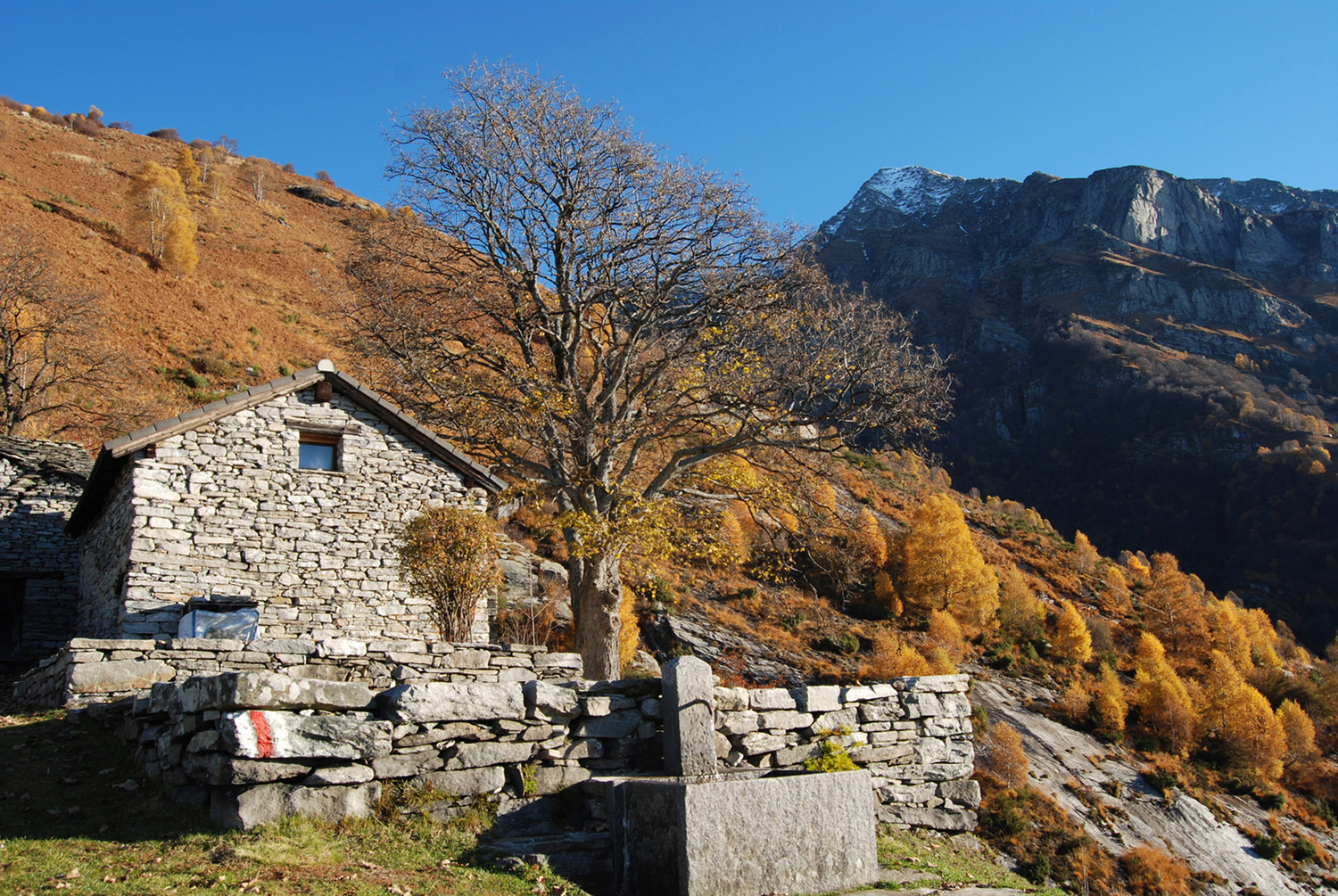Le baite di Corte Nuovo 1250 m, con il Pizzo di Vogorno 2442 m.