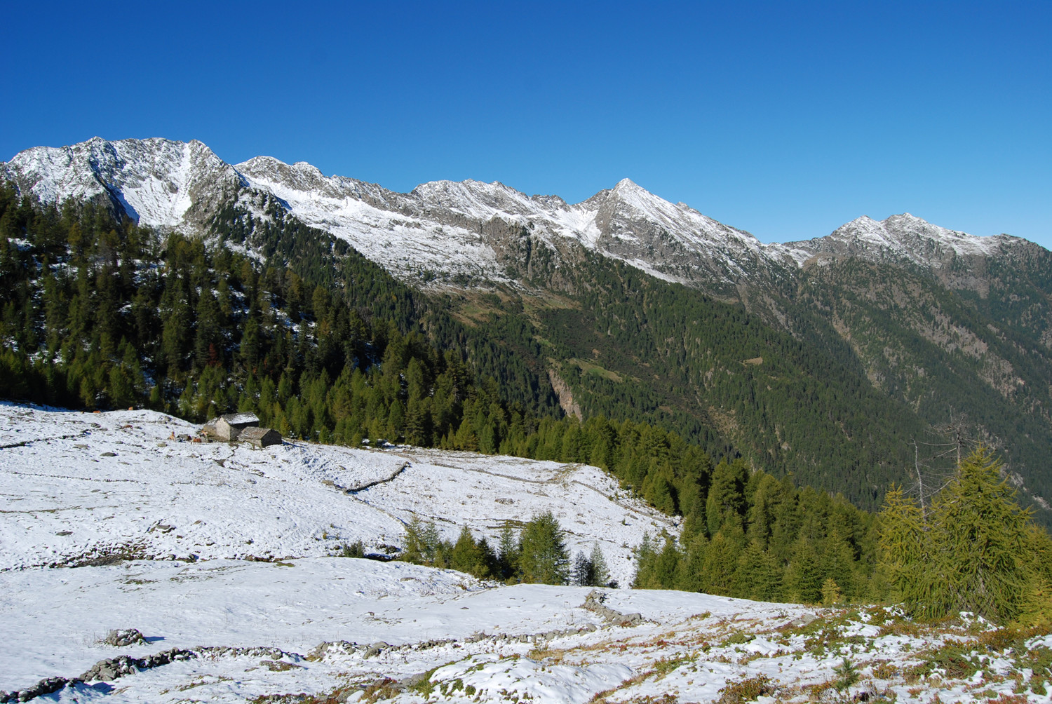 Salendo alla Cima di Campello vista sull'Alpe Vitalengo 1931 m.