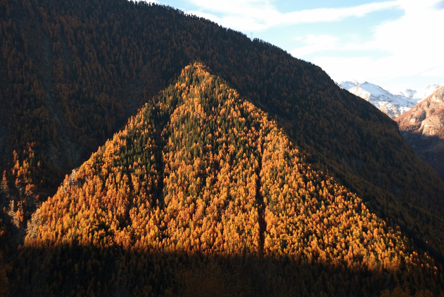 Forêt entre Stalden et Hannigalp