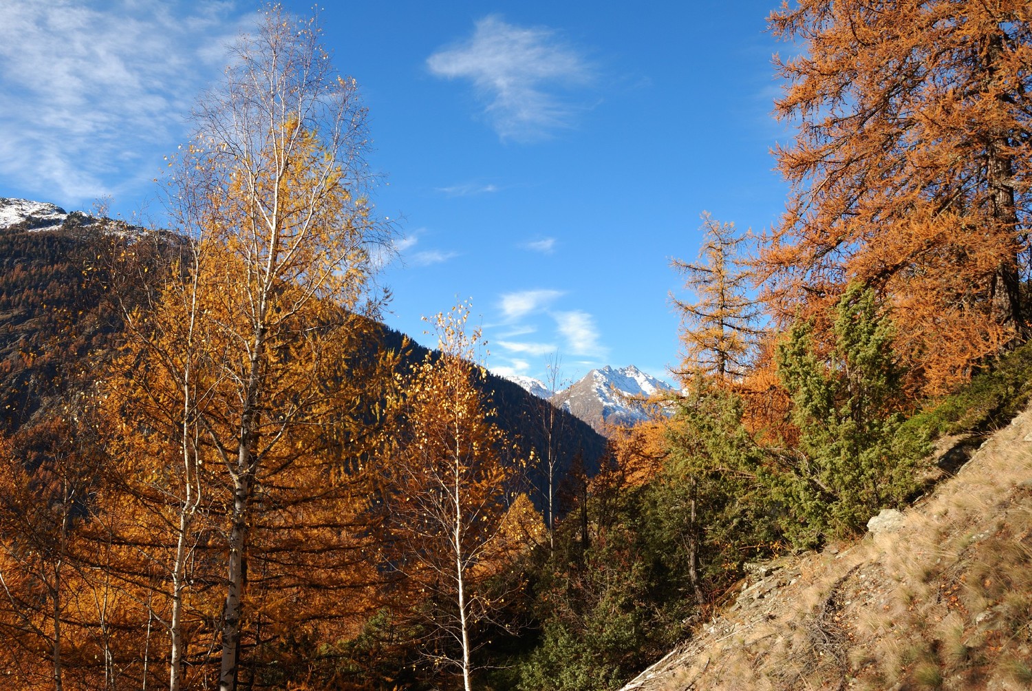 Montée vers Gspon