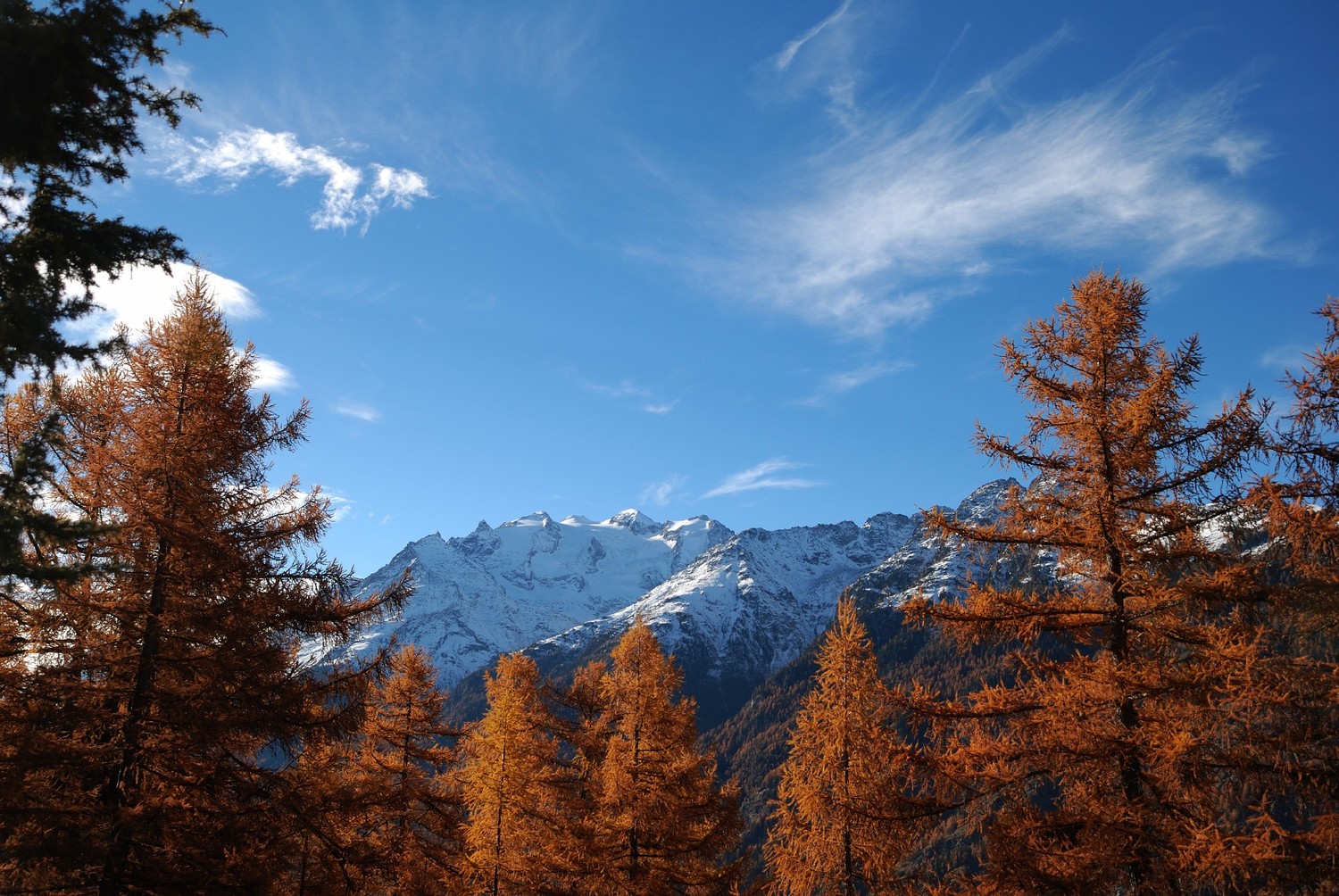 Vue sur le Balfrin depuis l'alpage d'Oberfinilu