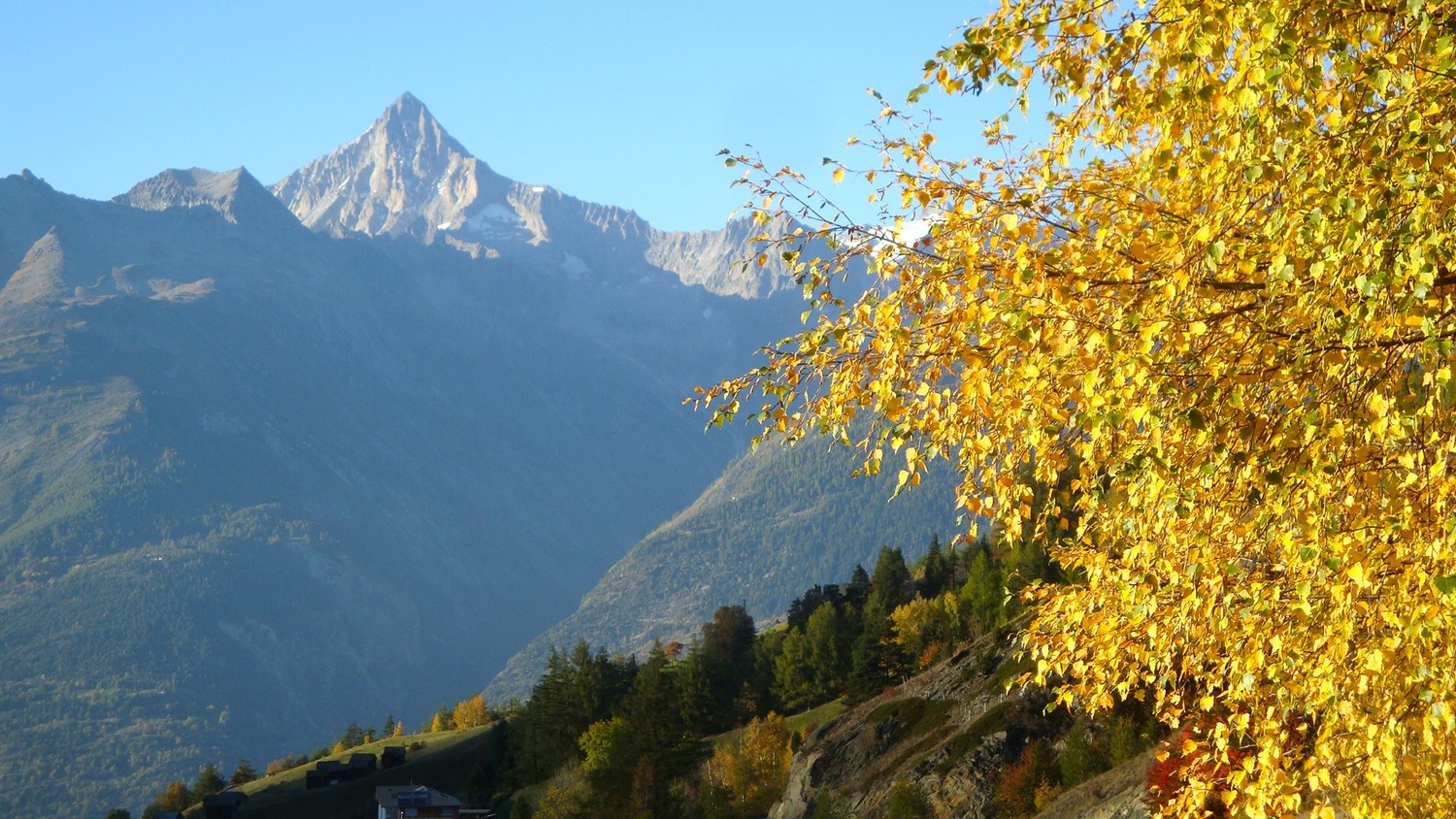 Bietschhorn