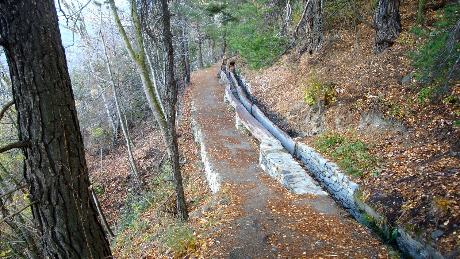 Bisse de Manera