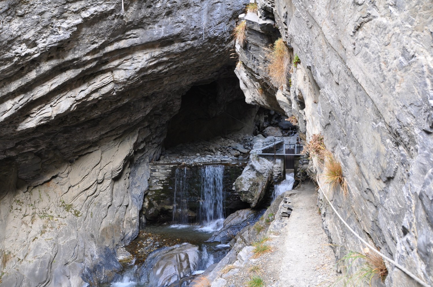 Manera; prise dans la gorge.