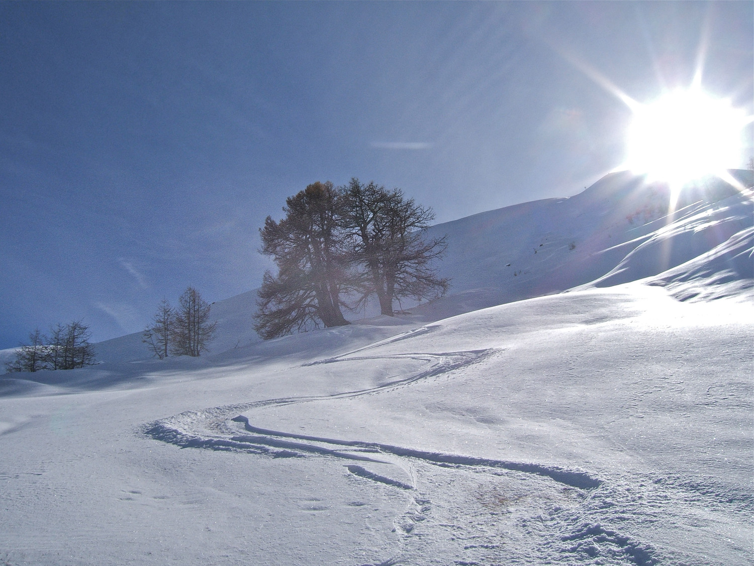 Descente de l'Alpe