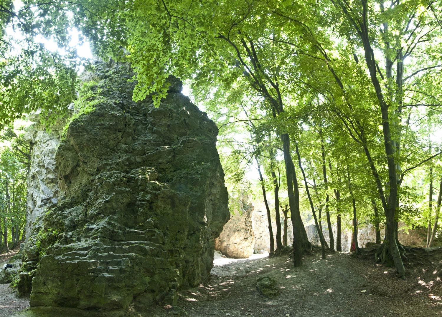 vue du site