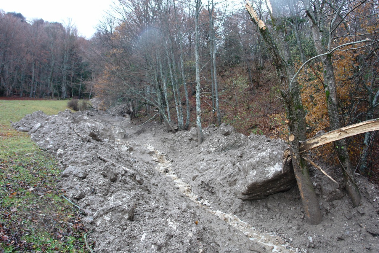Coulée de boue - prairie au dessus de Saint Pancrasse