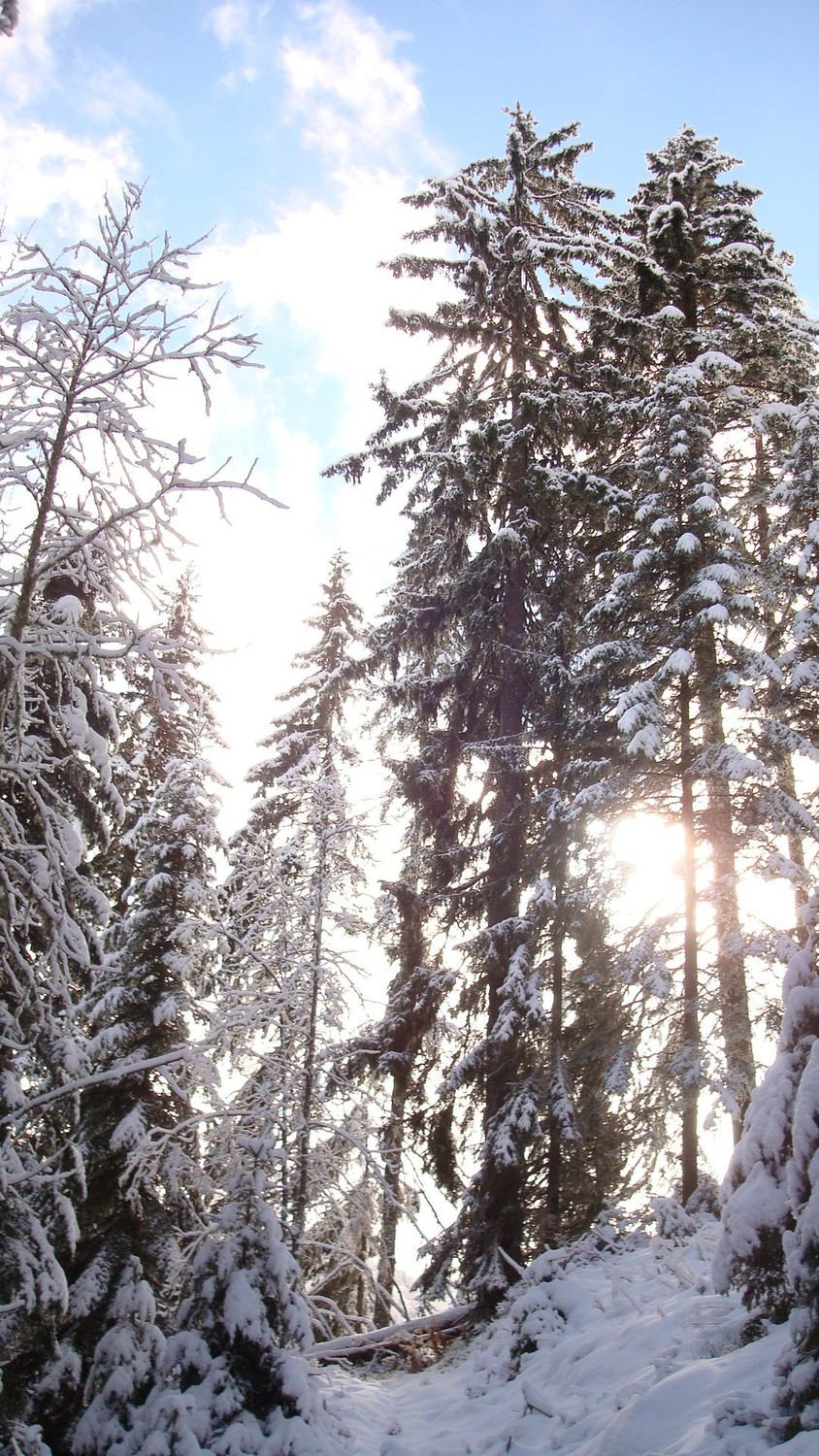 Pendant la montée, une vision de rêve