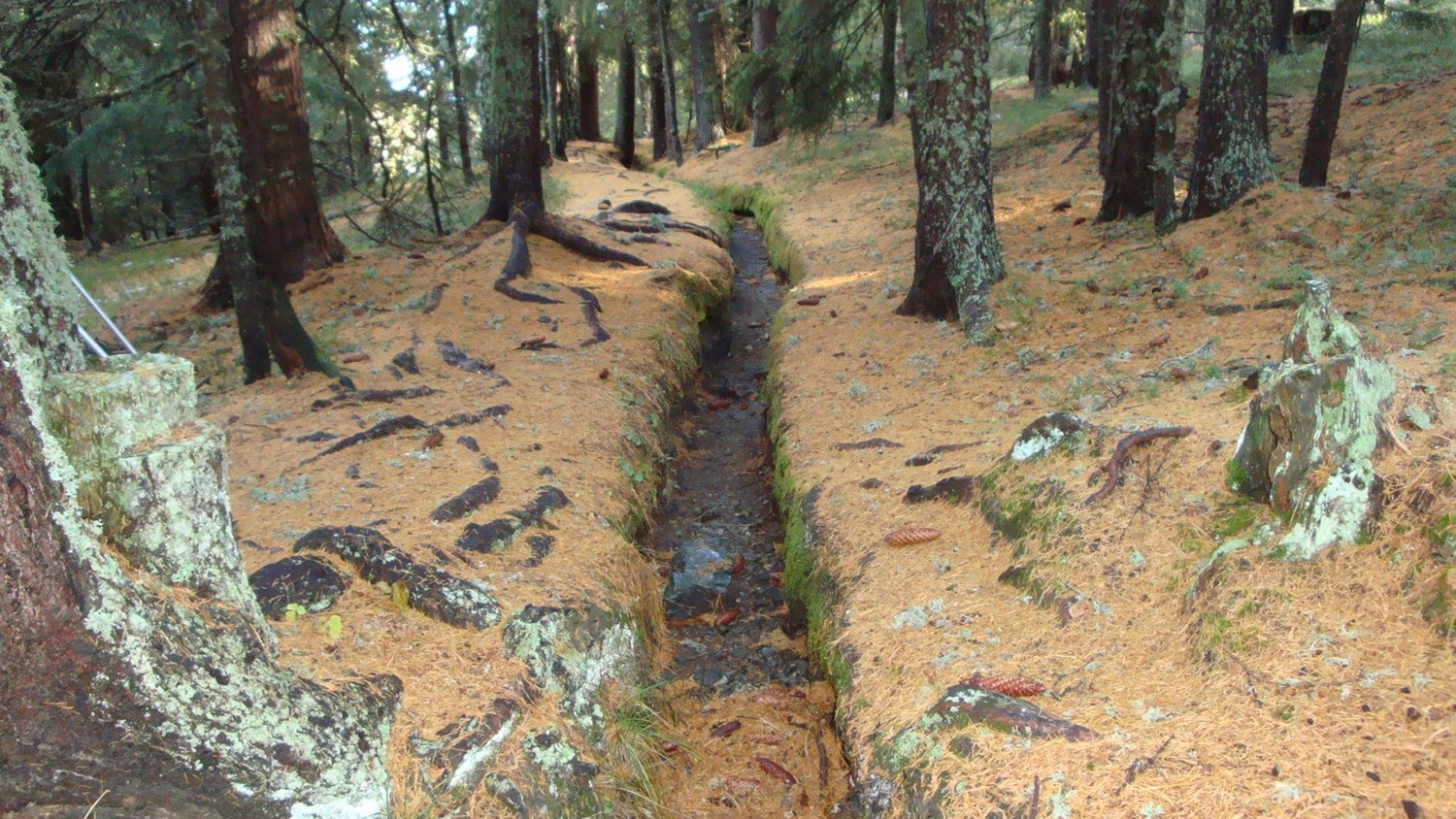 Bisse Alte Suon