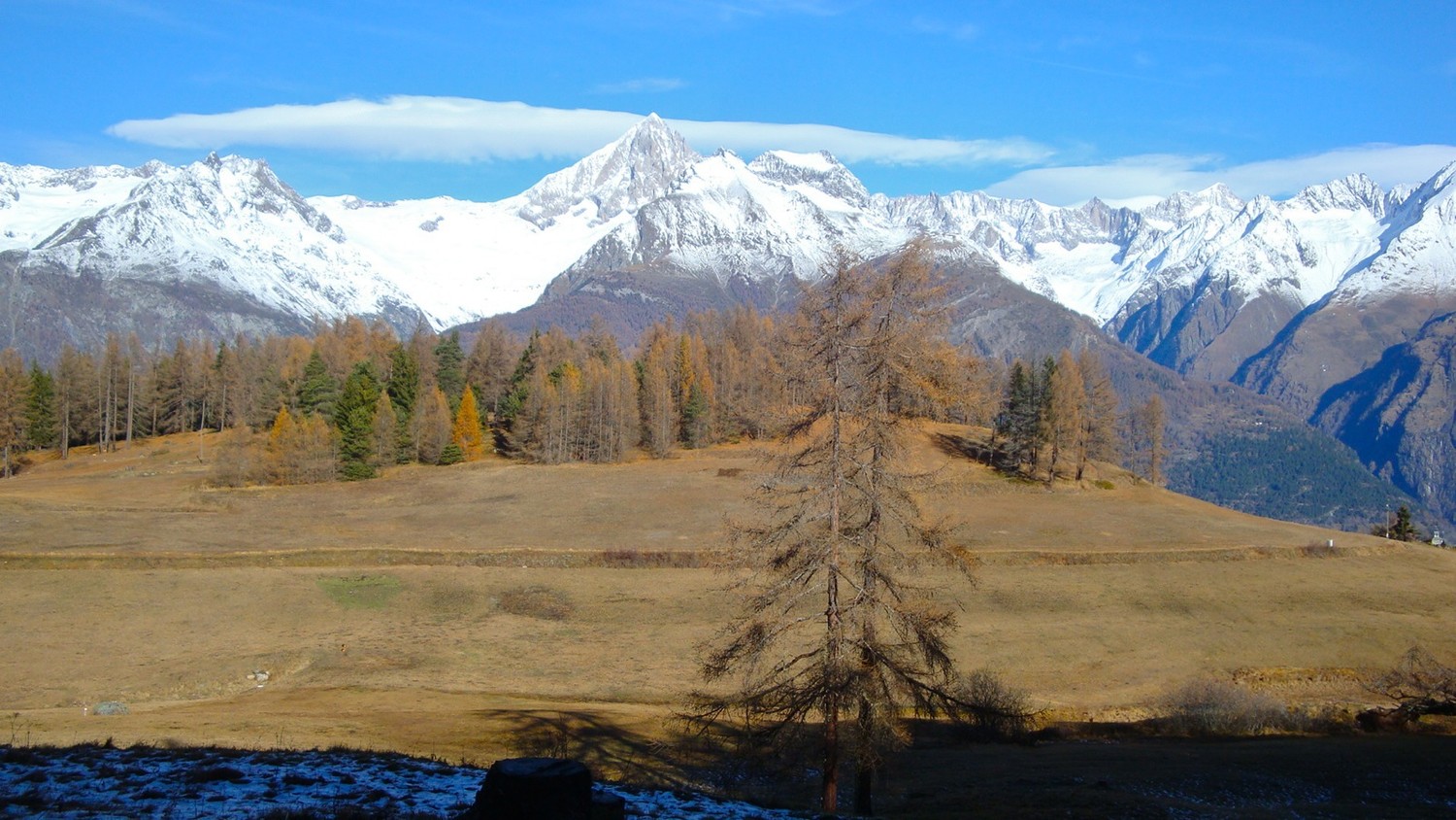 Bisse Alte Suon
