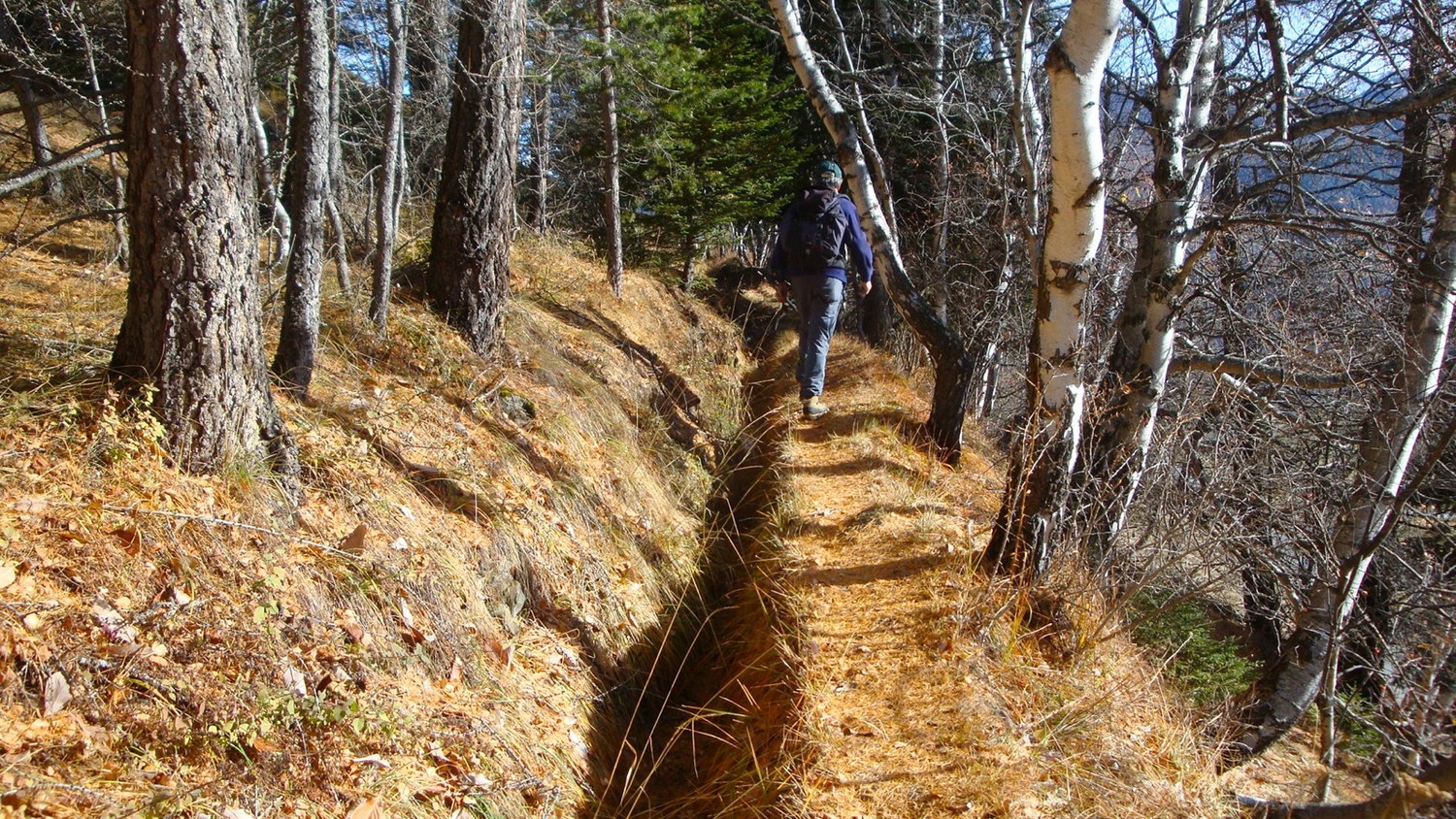 Bisse Alte Suon