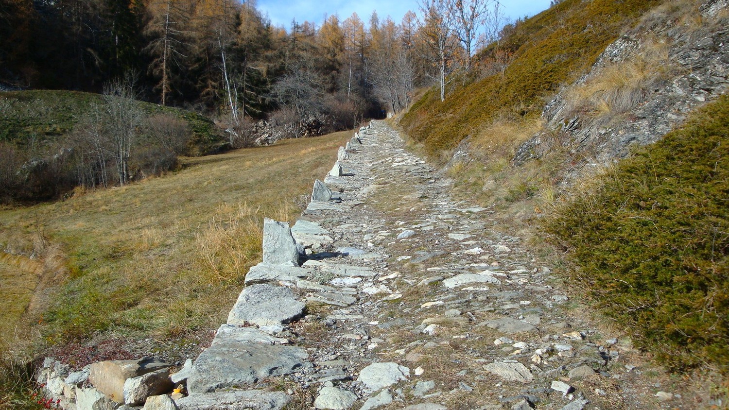 Zeneggen