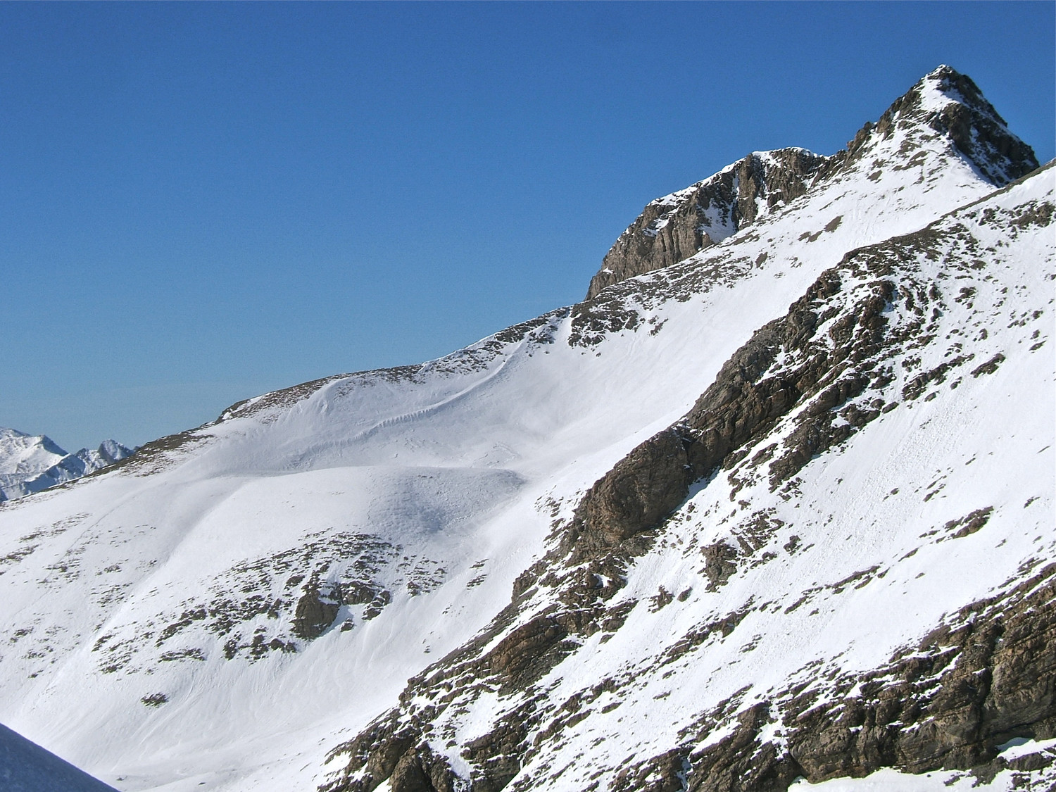 La descente S. du Mt Pelat