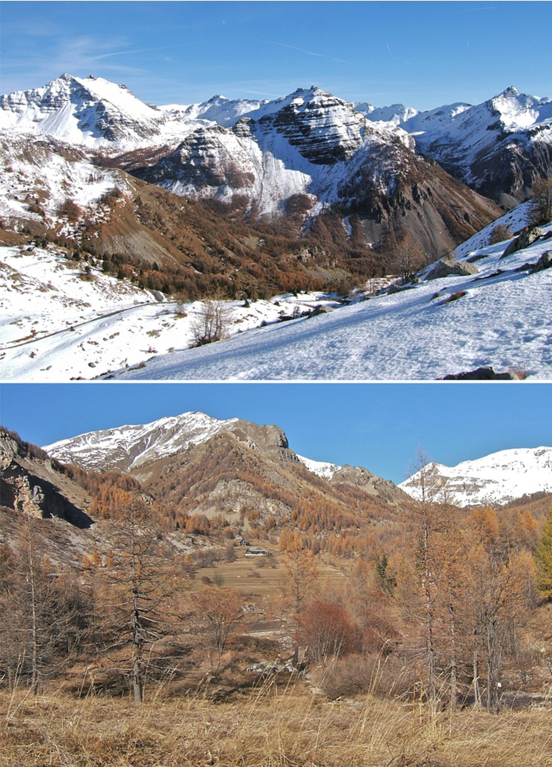 Vivement d'autres chuttes de neige.