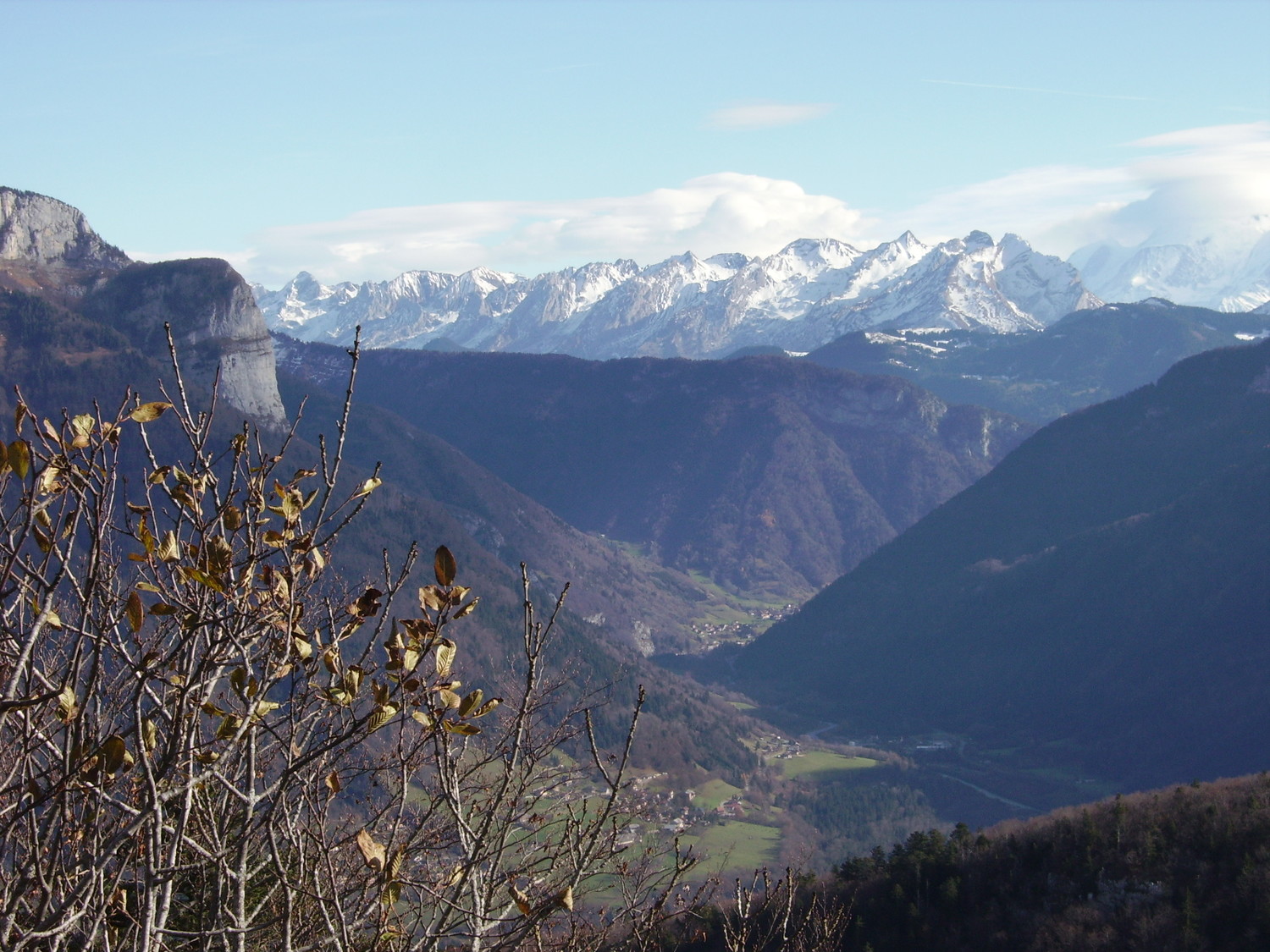 Aravis