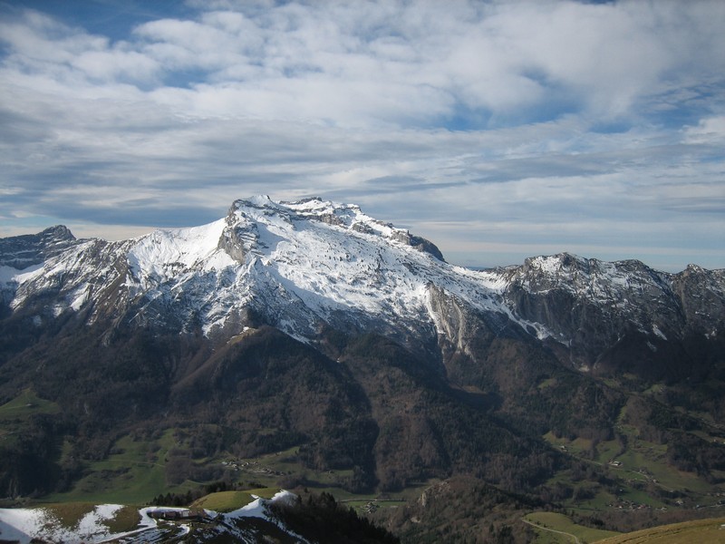 Tournette