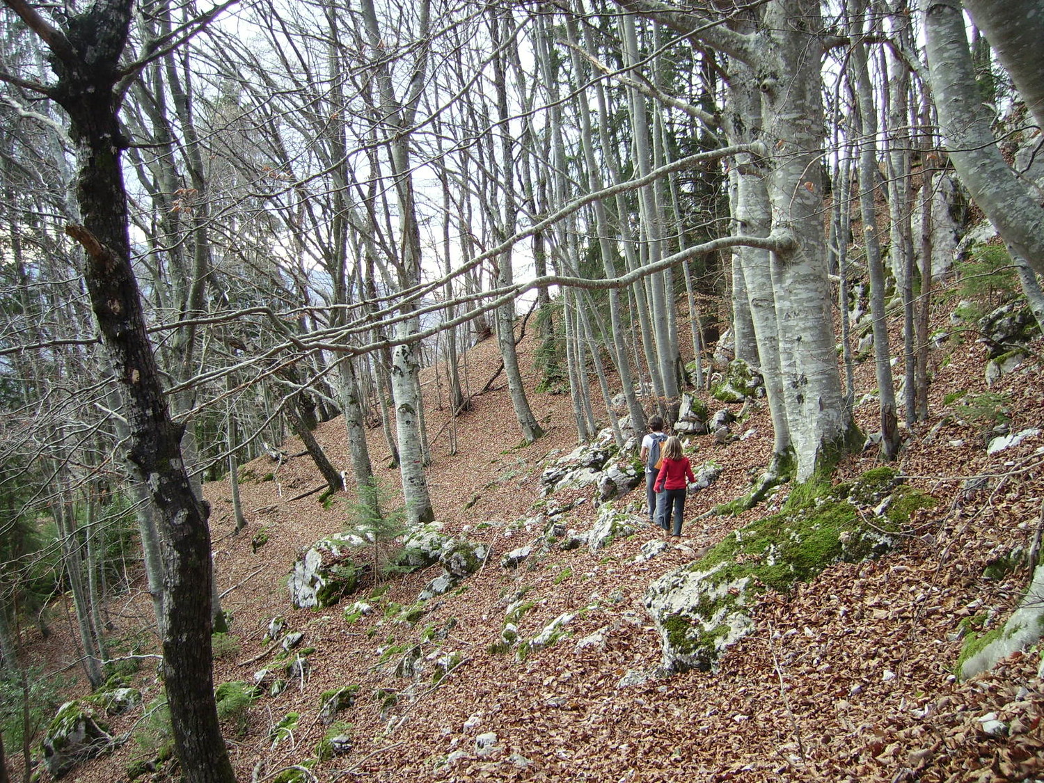 Dans le Vallon des Contrebandiers