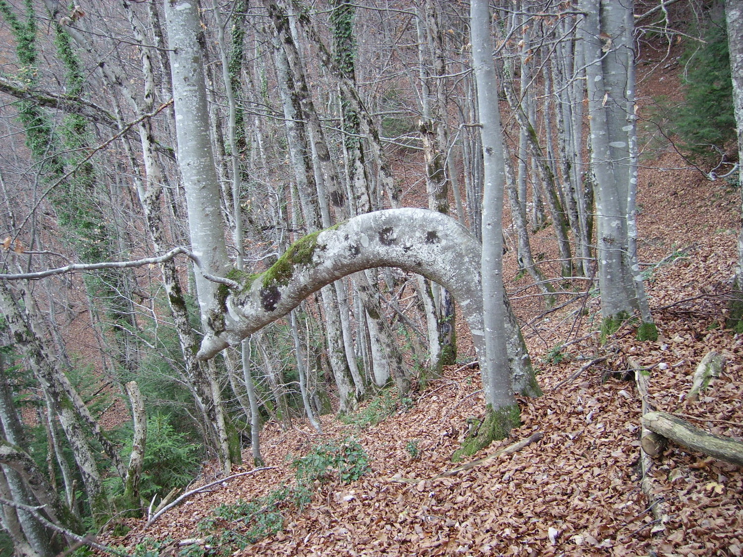 Détour vers le Col des Sauts