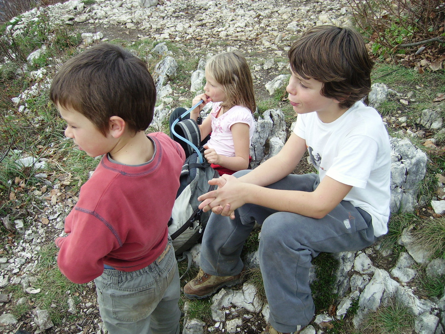 Ou sont-ils?